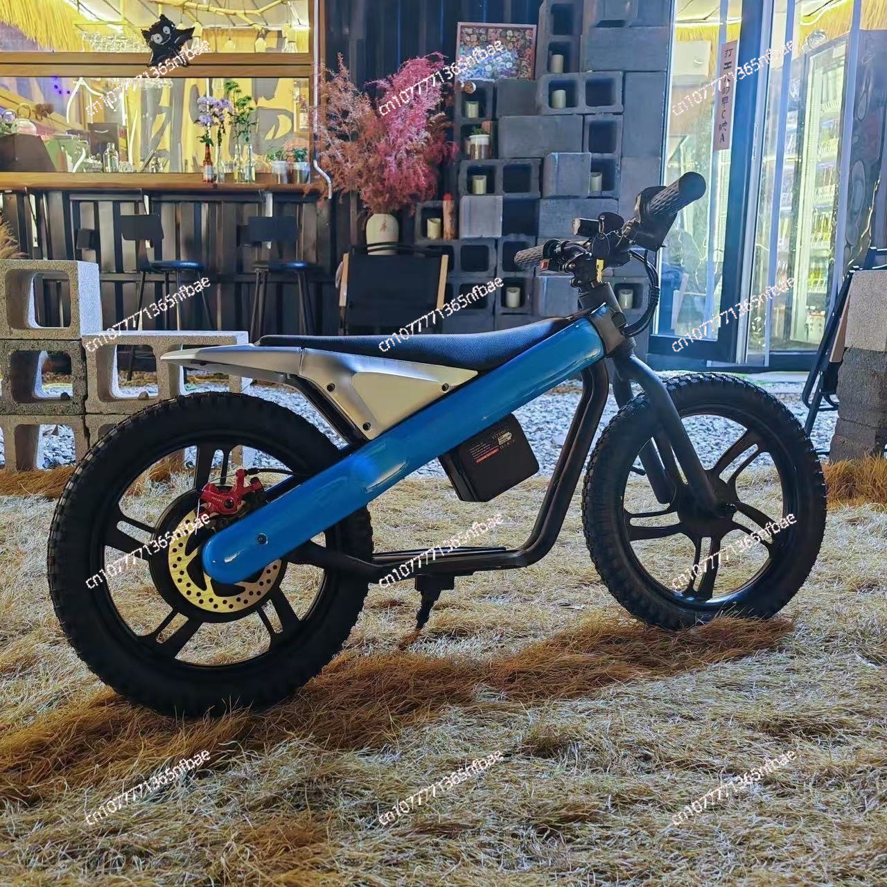 16 Inch Kids Electric Balance  - Balance Bike Kids recensie en prijs