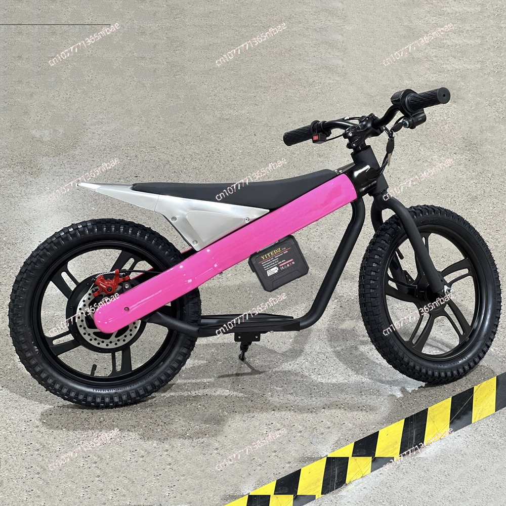 16 Inch Kids Electric Balance  - Balance Bike Kids recensie en prijs
